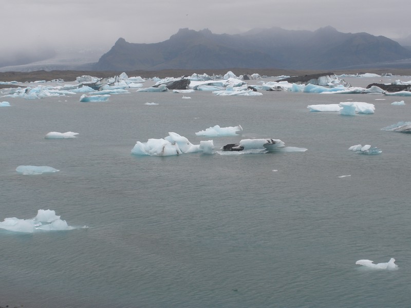 near Brei�amerkursandur; J�kuls�rl�n; Brei��rl�n;